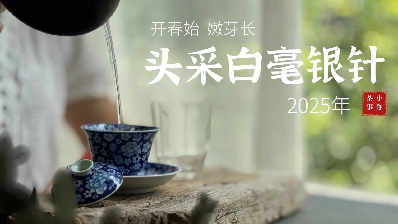 白瓷、玻璃、粗陶、紫砂、钛合金，盖碗材质详解，哪一种更好用？