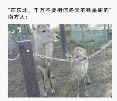 总有一些不相信的人