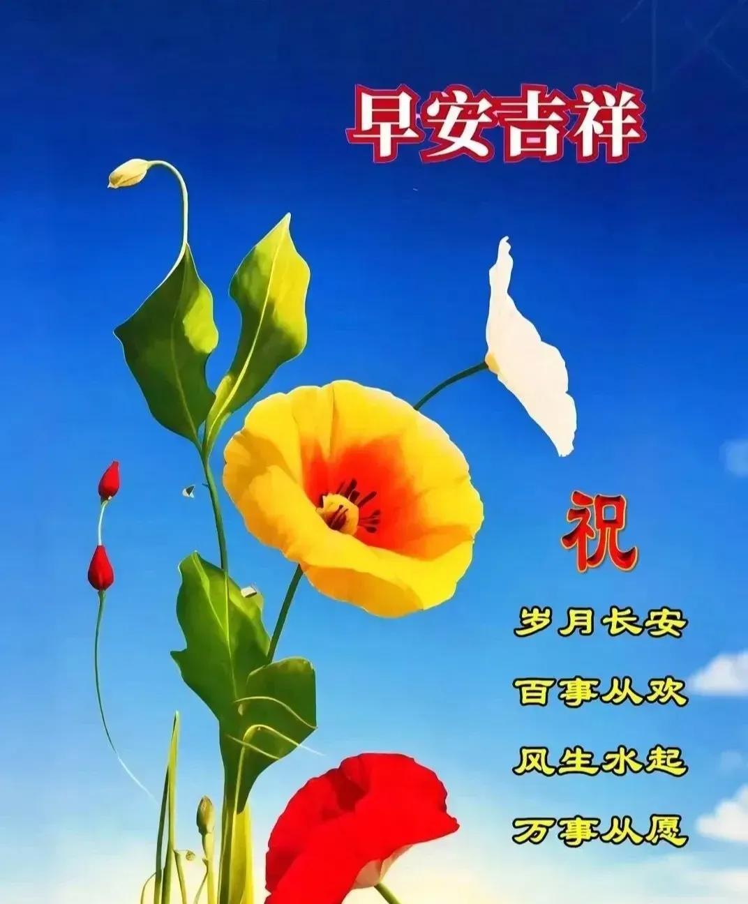 天气渐凉秋风到
阡陌纵横花香飘
四季轮回丰收季
稻穗弯腰收成好
[燃烧的心]
夏