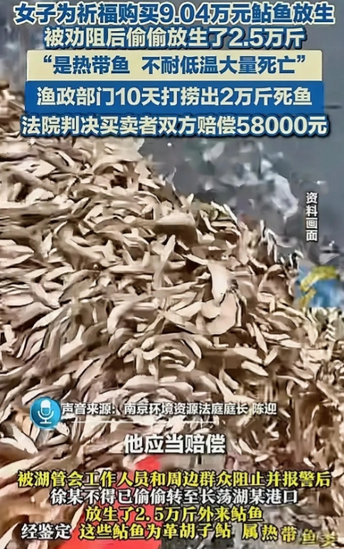这下好了，积的福还没有造的孽多！

江苏常州的徐女士花9万买2万多斤非洲热带鲶鱼