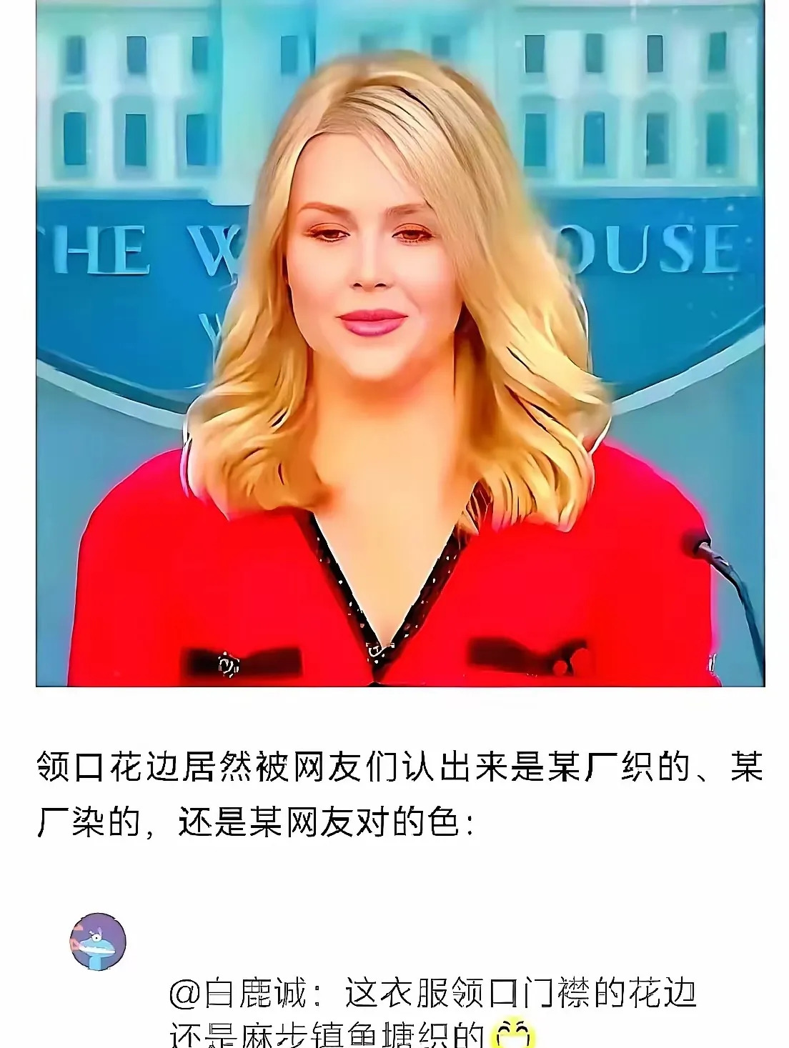 白宫发言人穿中国红衣引热议











美国白宫发言人莱维特，你穿的中