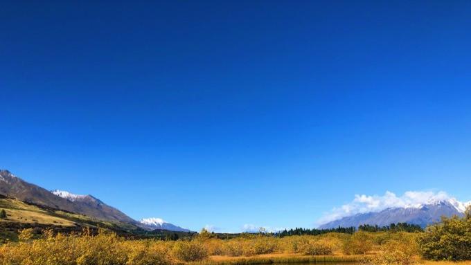 最后的玫瑰信笺