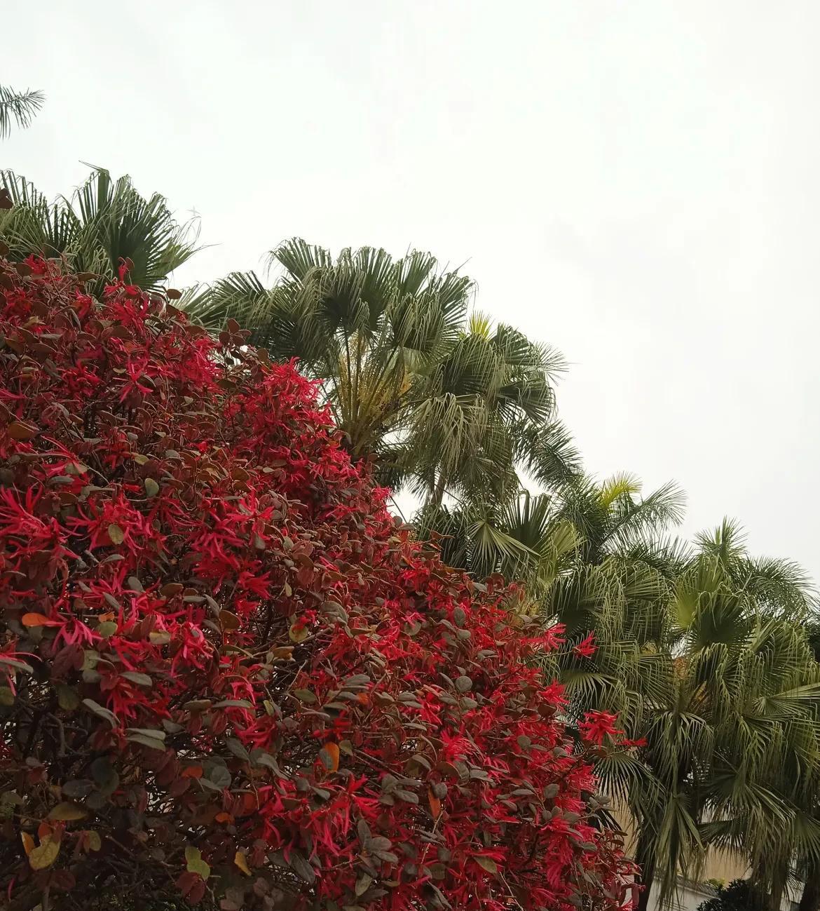 彩礼，房子加女方名，是当前婚姻矛盾的两大根源，大家都知道，为什么明知道这两个事问