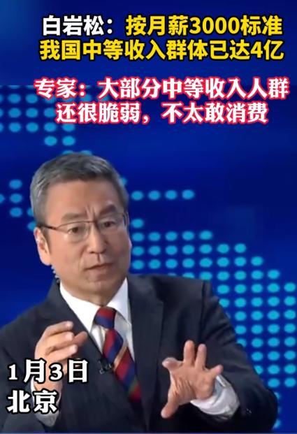 2024年，专家说月入3000已经进入中等收入，白岩松反问专家：如果月入3000