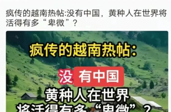 近日，越南论坛被一条帖子掀翻：没有中国，黄种人在星巴克都得踮脚点单。一位越南网友