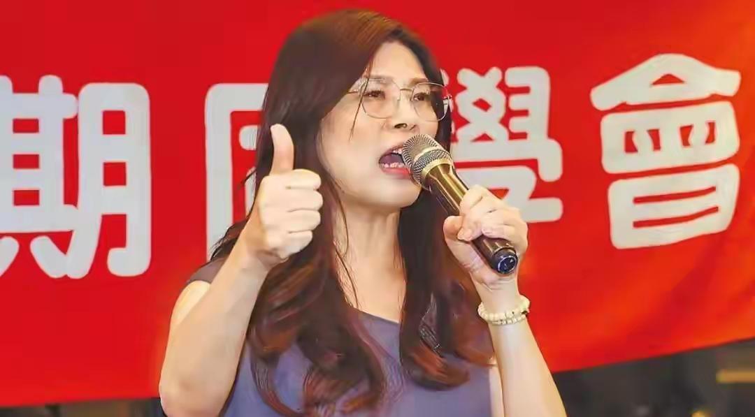 今非昔比，老眼光不能看新问题！
近日，国民党内许多人支持赵少康参选国民党主席，大