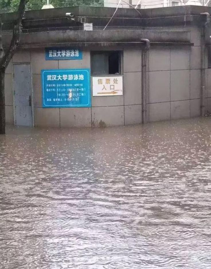 武大回应校门被淹1米深：每年都这样！

近日，武汉大学校门周边被淹一米深，校方回