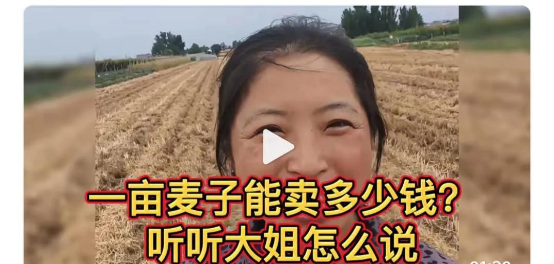 麦子属于比较便宜的农产品。
拿麦子来说明农民收入不合理真的荒诞可笑。
如果是一亩