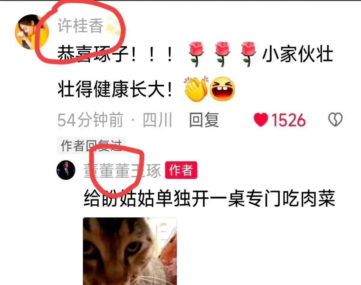 完了，盼盼能吃爱吃这事，算是实锤了。
董董生了个大胖小子，与辉同行的小伙伴纷纷发