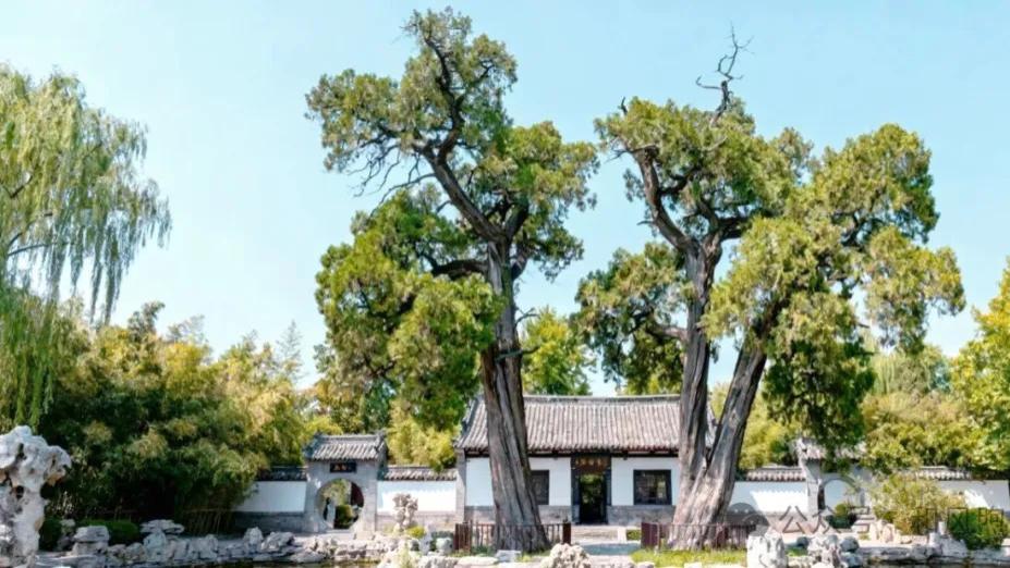 为什么说青州是山东最憋屈的县级市？