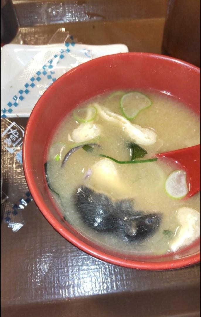 日本牛丼连锁业者食其家（SUKIYA）位于鸟取县一间分店的味噌汤今年1月曾混入老