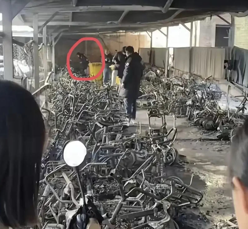 一夜之间，骑电瓶车和不骑电瓶车的集体破防了！不是因为国家对电瓶车出了新政策，而是
