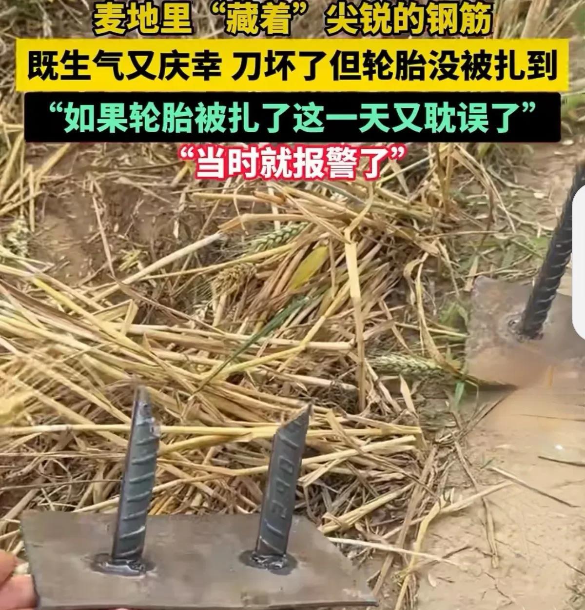 要判就判个三五年，必须对麦田偷放“尖锐钢筋”破坏农机的黑手严惩不手软！
这一幕场