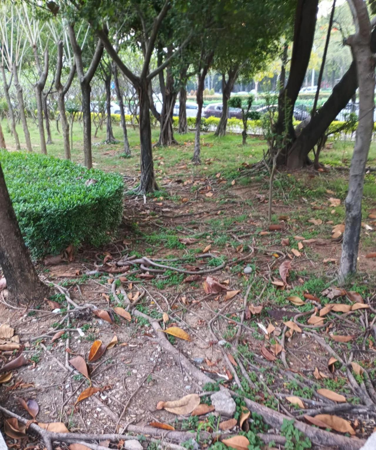 好无情的三大生肖
都说蛇、鸡、鼠是最无情的三大生肖。属蛇的人深沉谨慎，洞察力敏锐