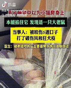 “太吓人了！”江苏，一男子在睡梦中听到床头有声音，他以为是家里养的小猫，就顺手把