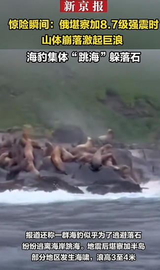 俄国勘察加8.7级地震时，山体崩落激起巨浪，海豹集体跳海多落石。

俄罗斯勘察加