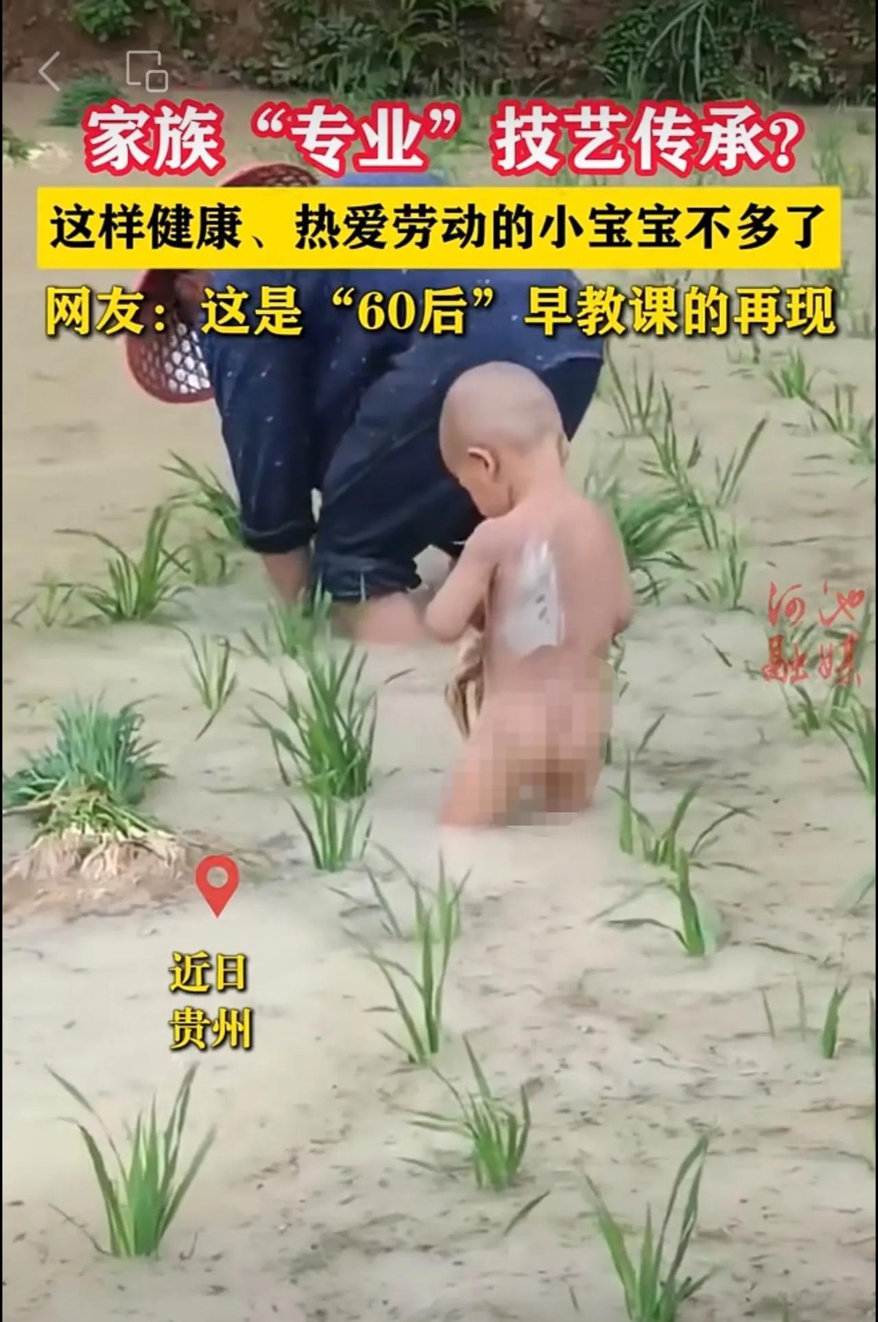 家族“专业”技艺传承？这样健康、热爱劳动的小宝宝不多了。网友：这是“60后”早教