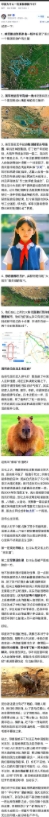 对手的分量正是你自己的体现
阿三（印度）最大的成功之一，就是让世界普遍认为他是与