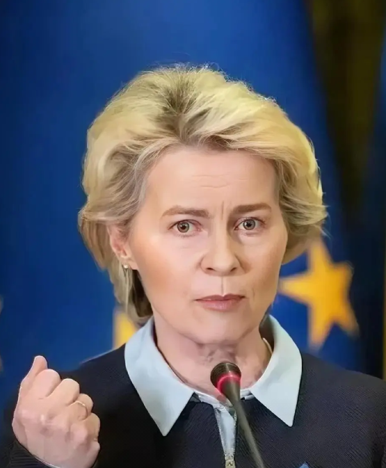 一场风波！美国向乌克兰提供的矿产协议内容引发外界震动，招致质疑与争议，欧盟也主动