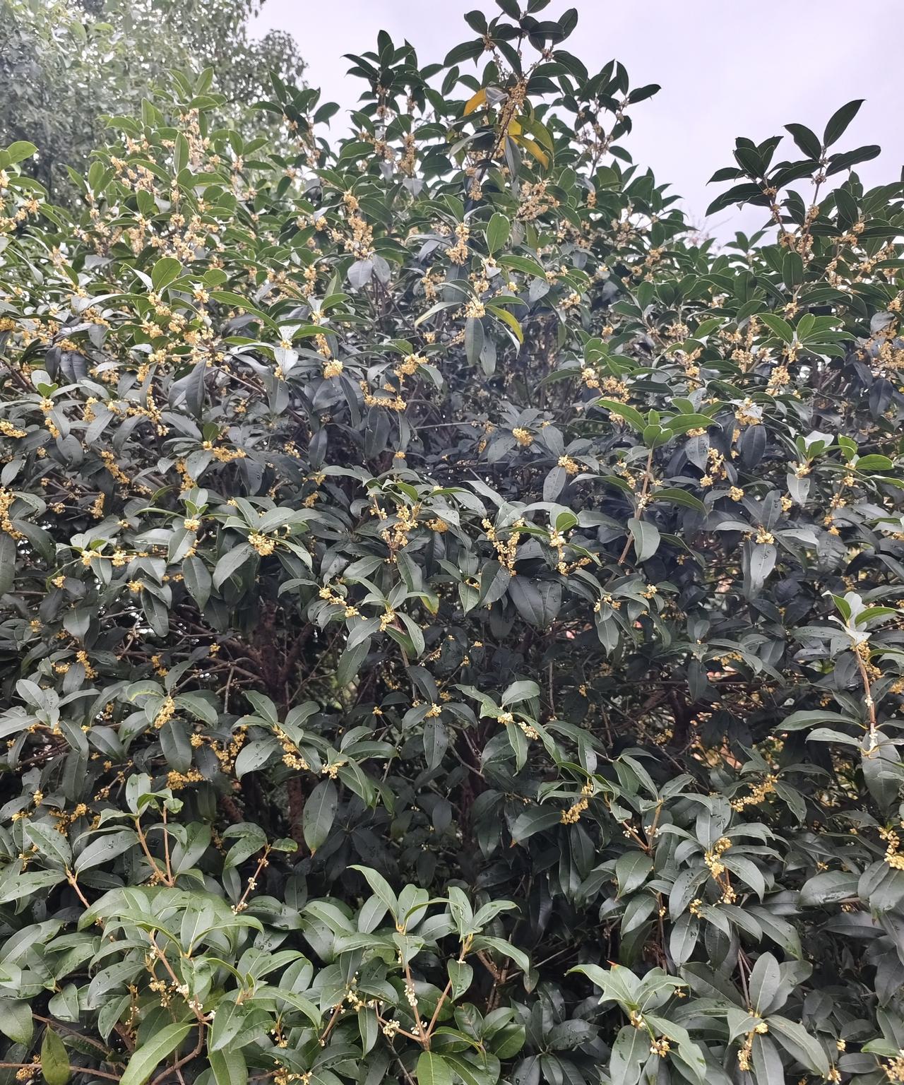 接纳现实，转换视角
★放下执念，就是放过自己。修心是一切意念的基础，一个人心在什