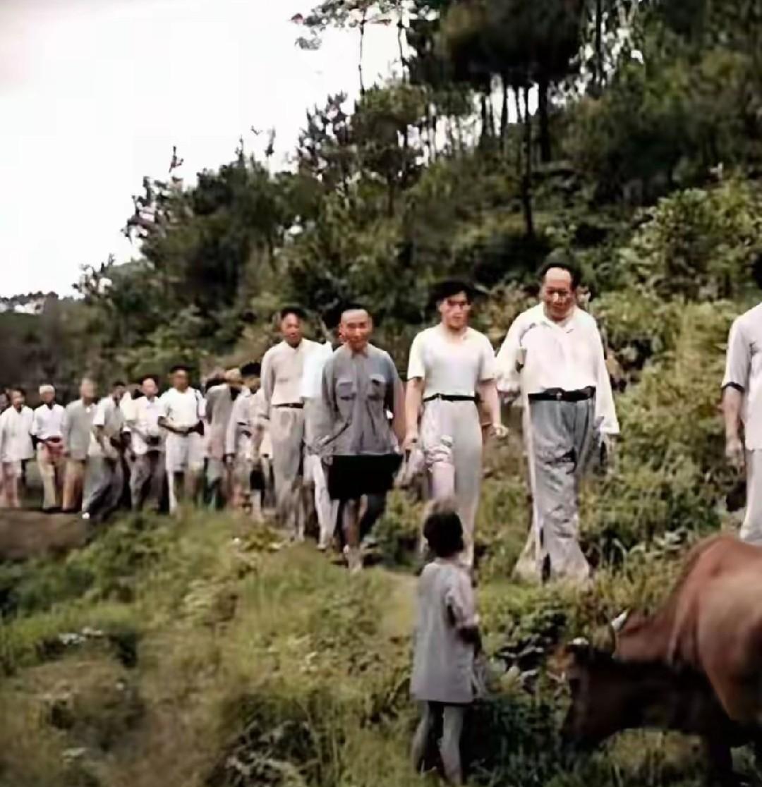 1959年，毛主席归乡祭祖。
途中，瞧见山坡上的放牛娃，他停下脚步，微笑着打招呼