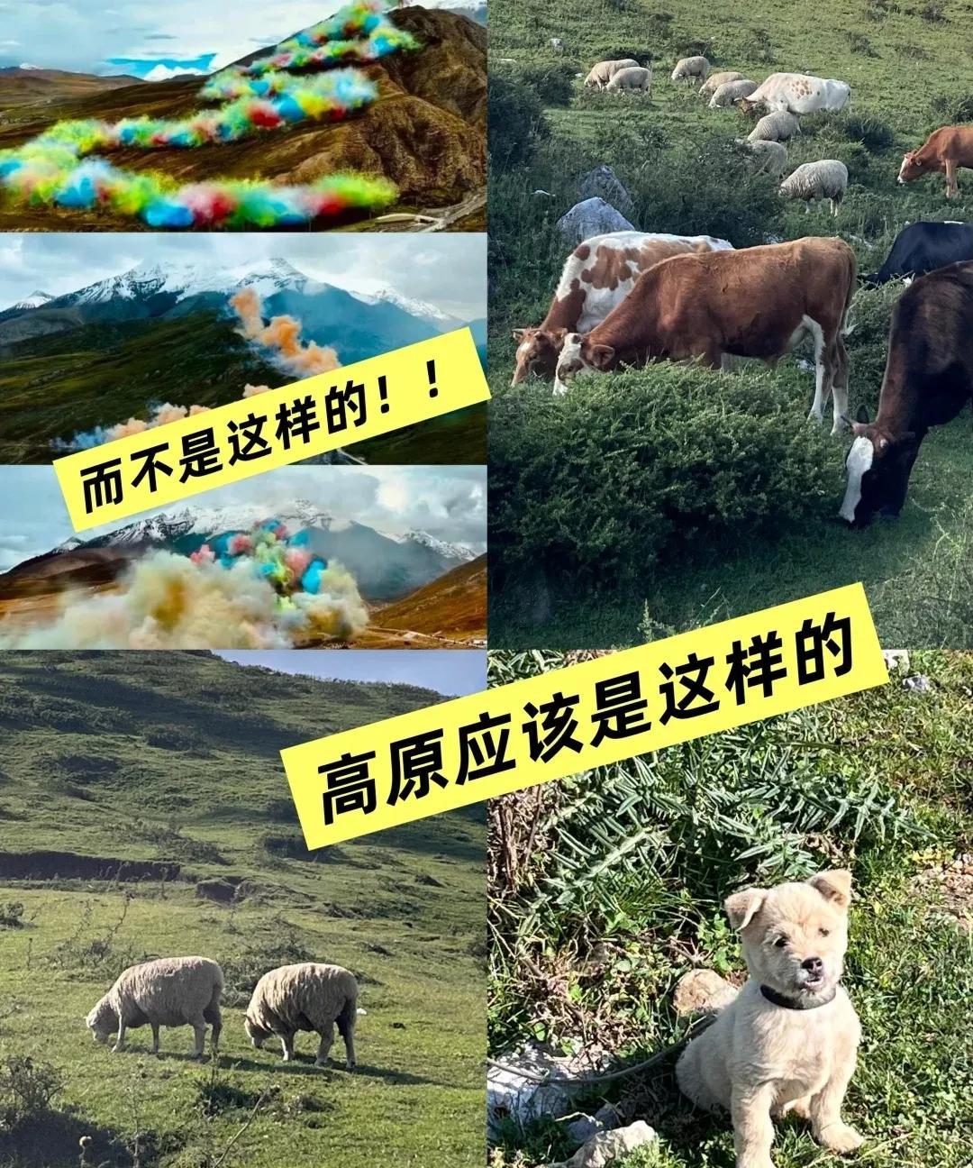 对动植物的影响，怎么评估？
找到每一只鼠兔，问它害不害怕，
家里塌没塌，有没有被