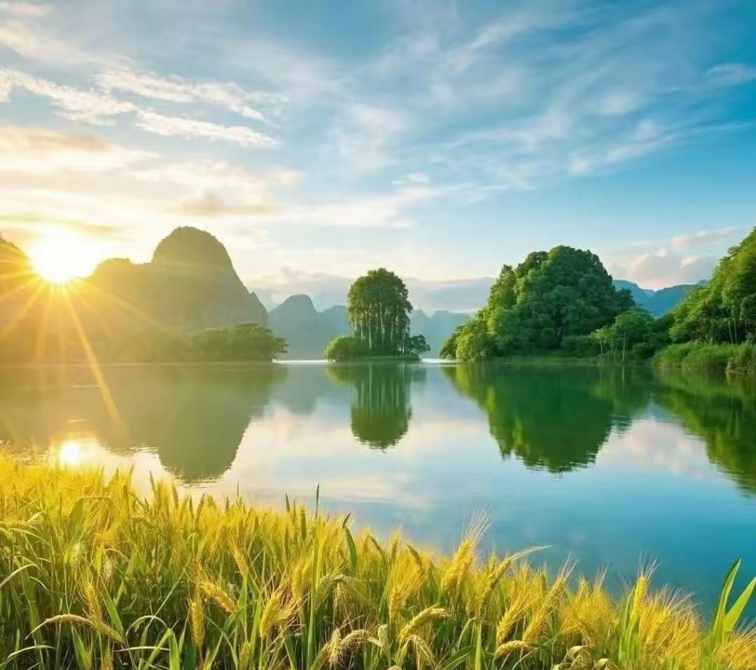 与美恶战的巴西给世界打了个样
7月30日，白宫宣布对巴西商品加征40%的额外关税