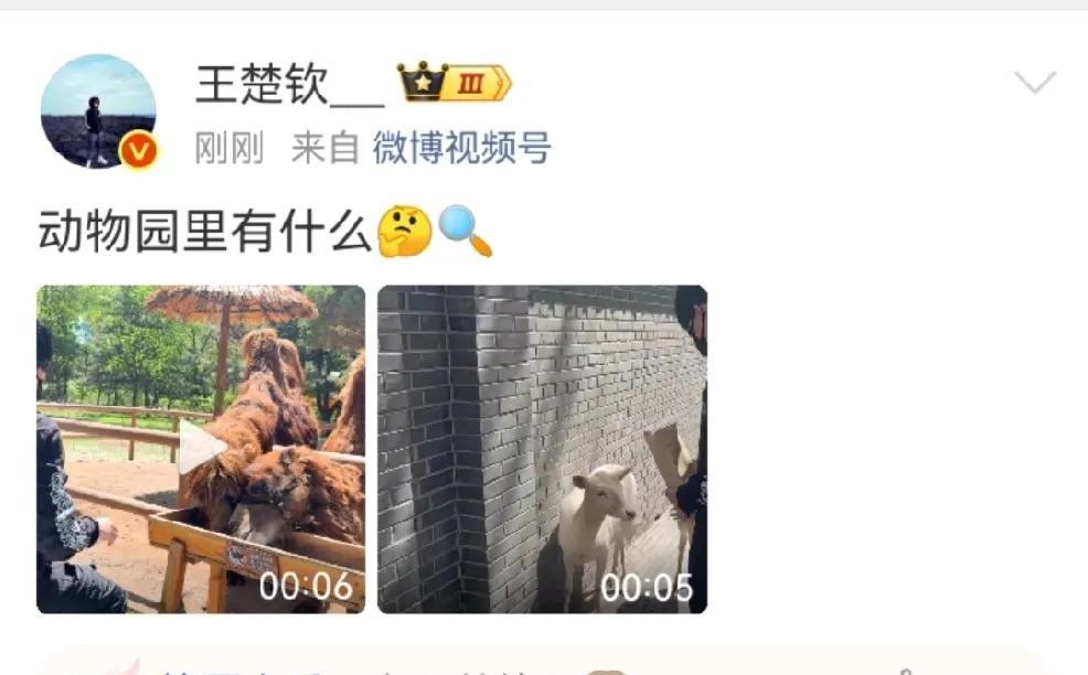 王楚钦[微笑][微笑][微笑]
我不仅知道动物园里什么动物都有
我还知道
你发的