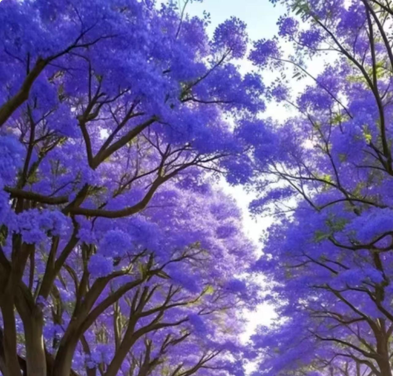 二婚太难了！只是要他上交工资卡，又不是不给他花，他居然说：“我怕我最后人财两空”