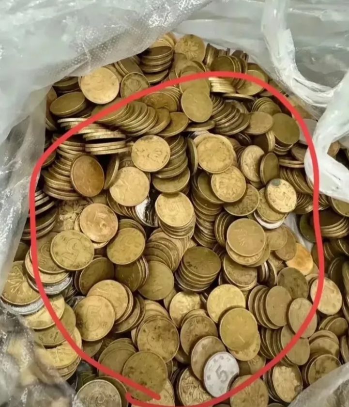 广州，一位村民在帮婆婆整理房间时，突然，意外地在她床底下发现了一个箱子，箱子里装