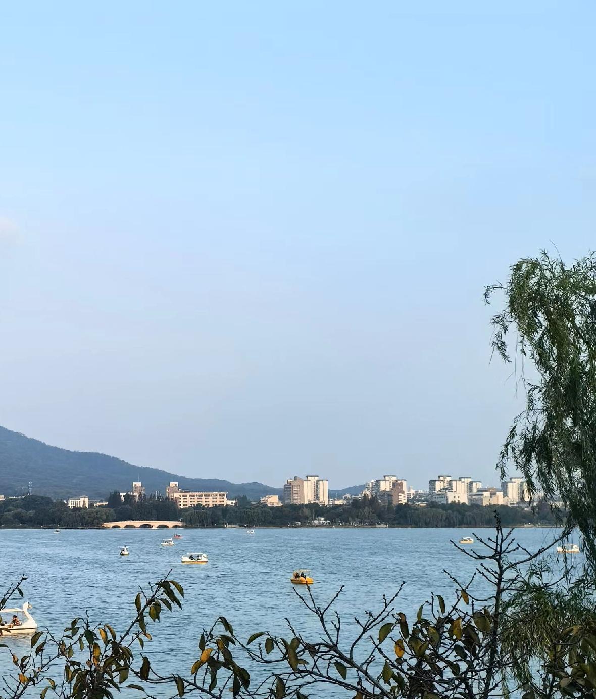 中印要恢复直航，但是也要提防印度人过来，让这些印度人去嚯嚯加拿大英国小日子去，我
