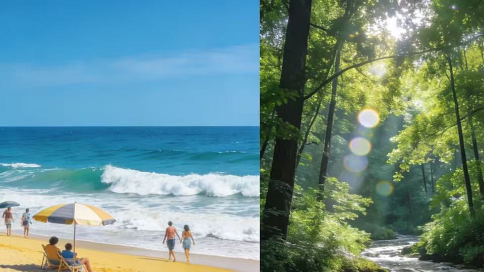 部门推诿、补偿难追  重庆酉阳：“偷拆”纠纷未决，村民权益谁来兜底？