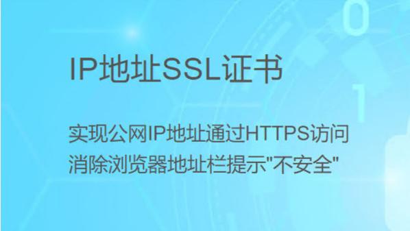 IP地址怎么加密https访问？