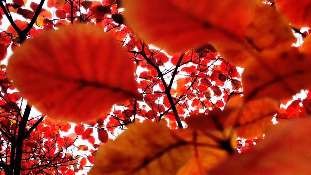 世界著名里最经典的九十九句话，一辈子至少要读一次！