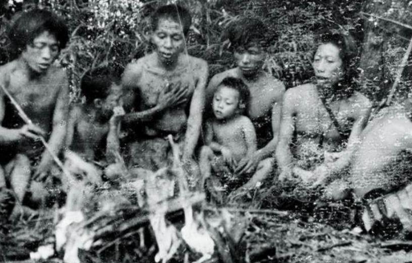 1956年，解放军在云南原始森林深处，发现一群衣不蔽体，蓬头垢面的男男女女。经过