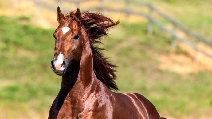 陷入“泥潭”、遭遇失败，自己才能拯救自己