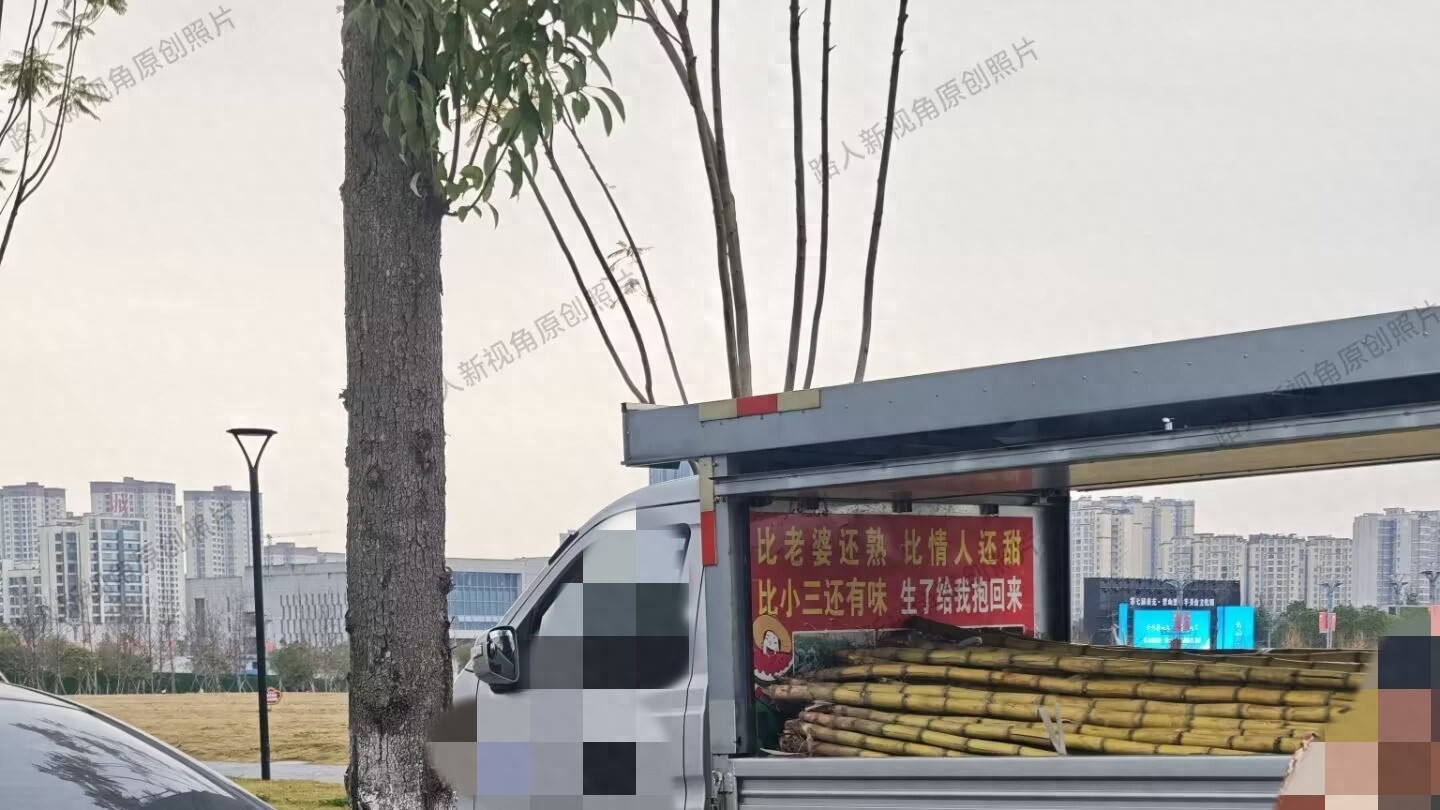 营山县黑山羊美食文化周附近人行道上的这辆车子，有点意思！