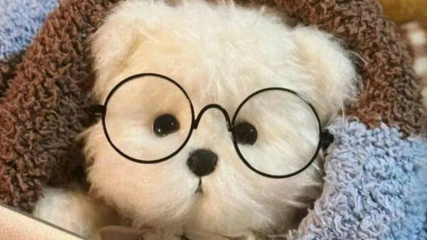 户外安防声光报警器研究报告—以杭兴智能为例