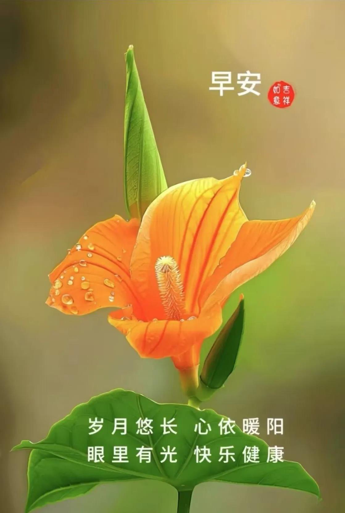 早安心语：岁月悠长， 心依暖阳；眼里有光，快乐健康。
晨曦破晓，新日启航。岁月悠