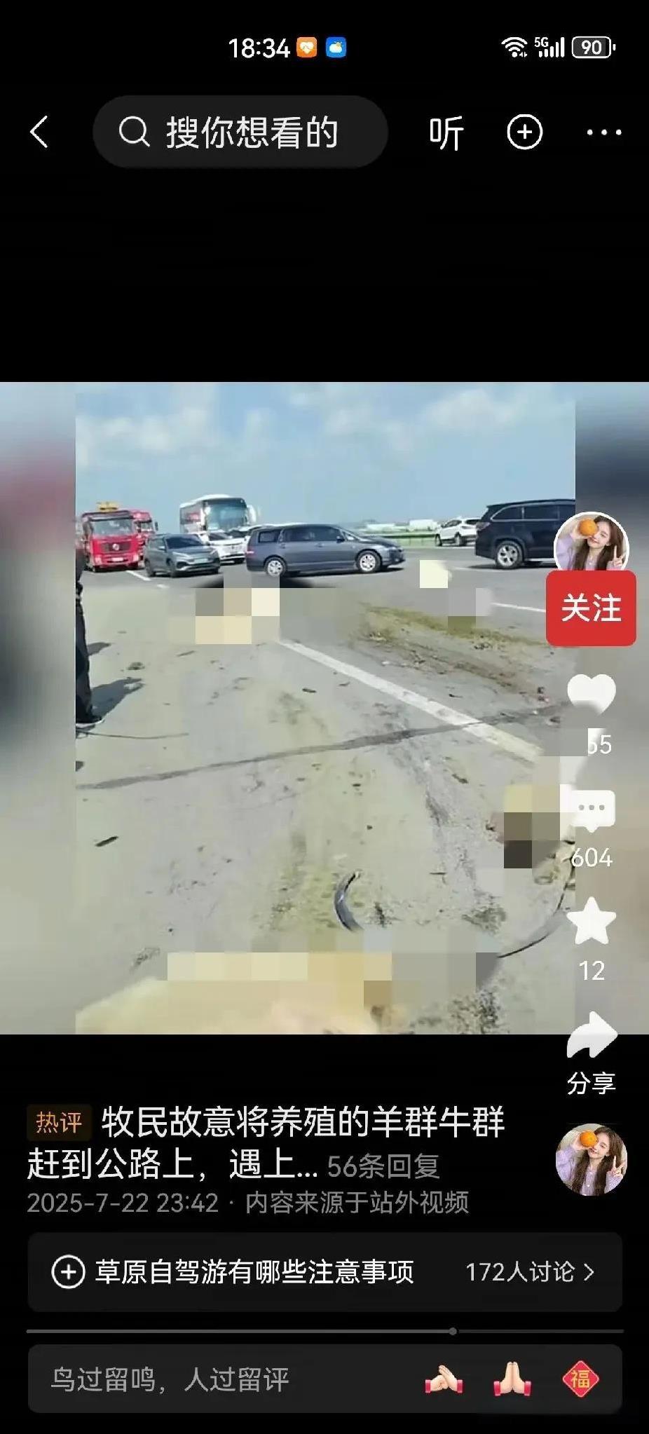 惨不忍睹啊，可怜的羊，倒霉的司机。
外地来草原上自驾旅游的人们，总认为草原上的路