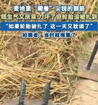 太可恶了!河北，开收割机的闫女士一阵后怕，她在给农民收割小麦的时候，竟然发现麦田