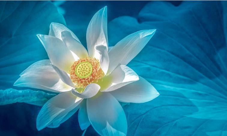6月开始财神点名，大吉大利的4大生肖，大财运攀升，大富大贵好运来
时来天地皆同力