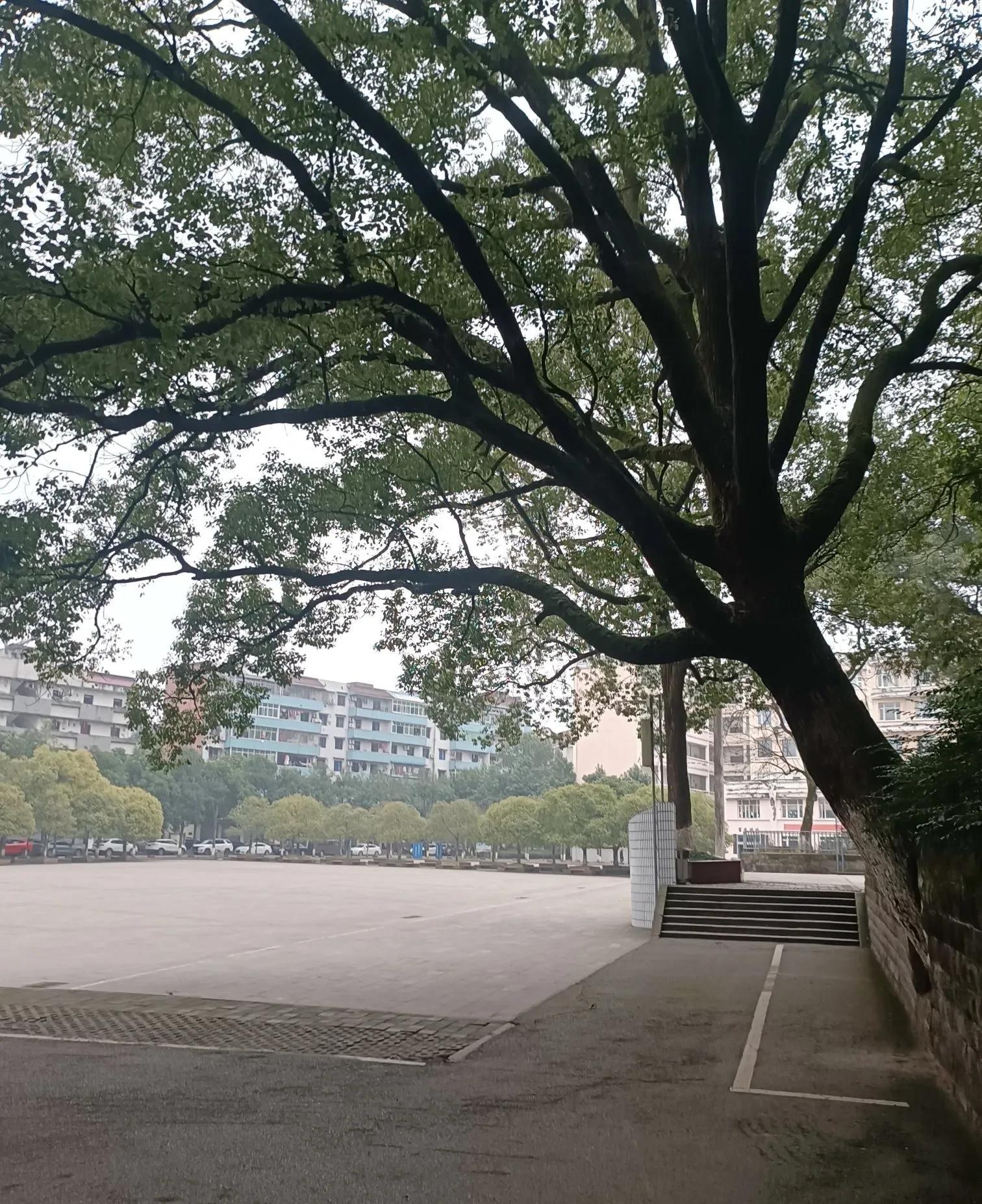 禁酒令一下，效果立竿见影。



我们镇上的餐饮业者们最近愁眉苦脸，生意骤然清淡