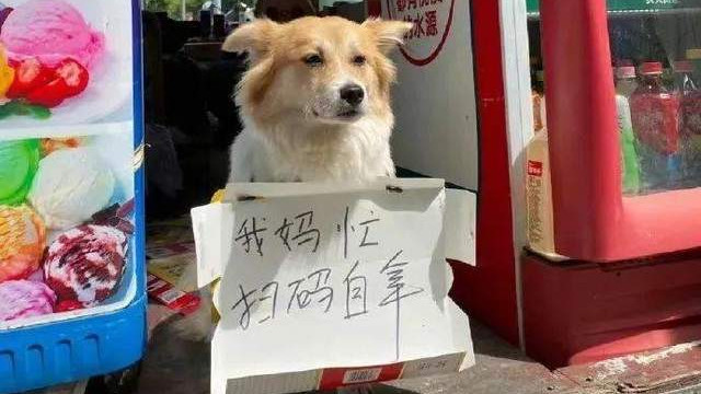 10张超好笑的「奇葩提示语」：各个都是段子手，最后一张太雷人