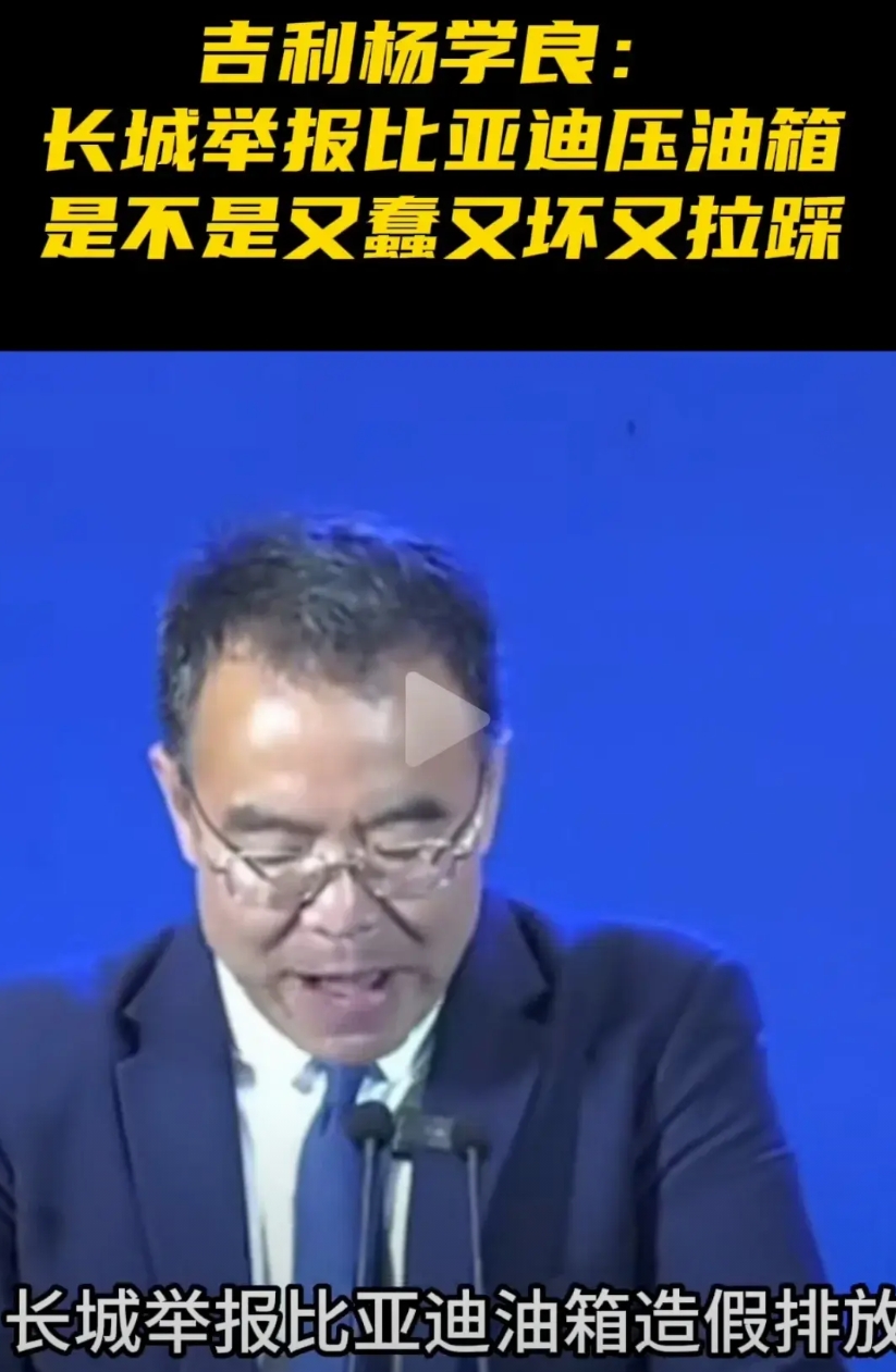 刀片电池卖的好:吉利起名短刀电池
dmi被消费者广泛认可:吉利起名emi
这算啥