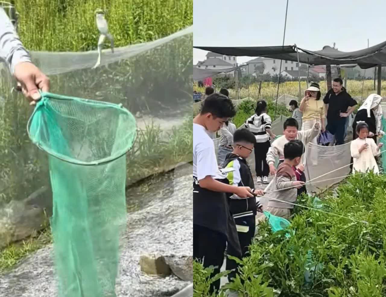 这简直是捡钱啊！
​4月28日，浙江衢州，一名80后男子一天光看着就有近600