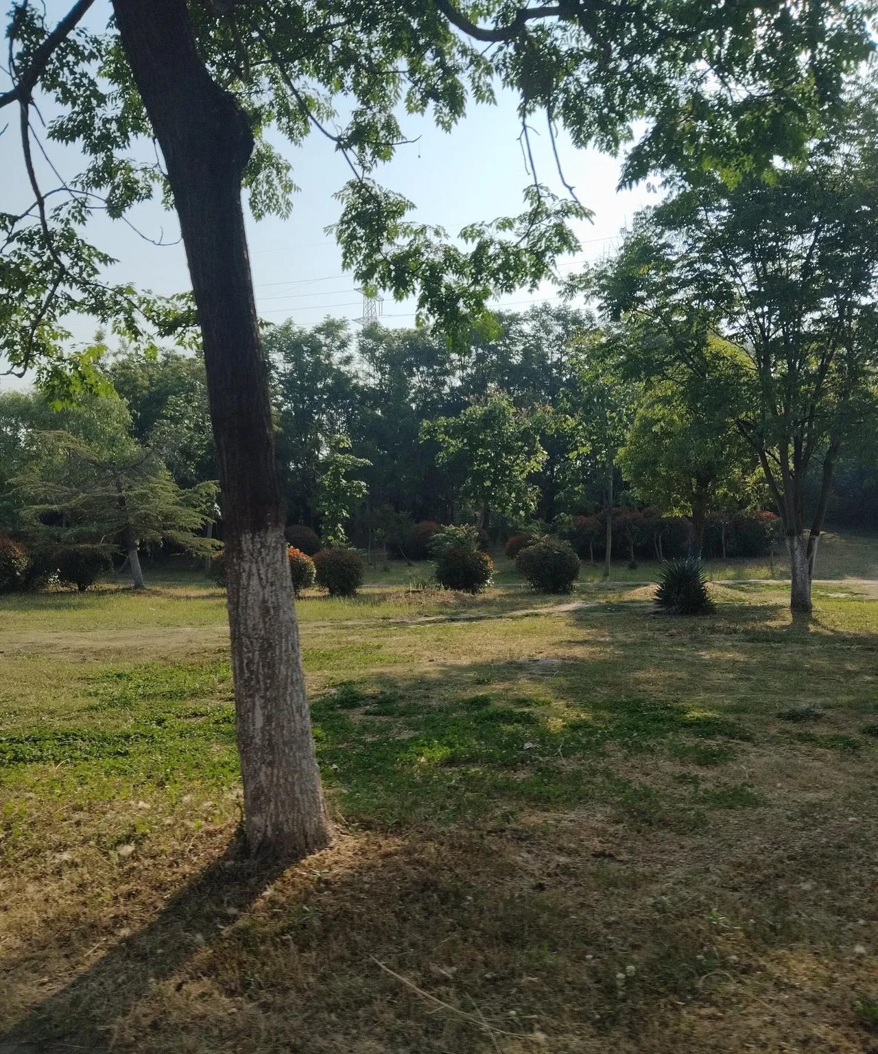 真是晴天霹雳啊！今早又喊不起来了，又请假了。连续休息三天了，也没阻止的了他今早请