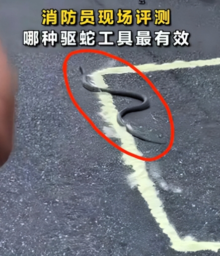 万万没想到！
消防员亲测，蛇的天敌不是驱虫粉，也不是大蒜和风油精，而是“麻溜的跑
