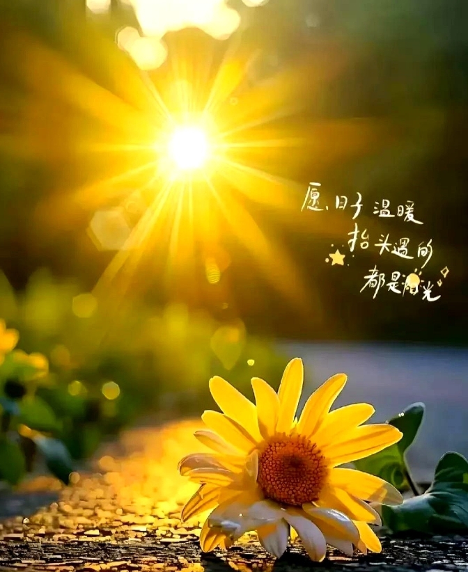 高考与三次模考的关系，总有人说一模看排名，二模看成绩，三模看心态。

到了最后阶