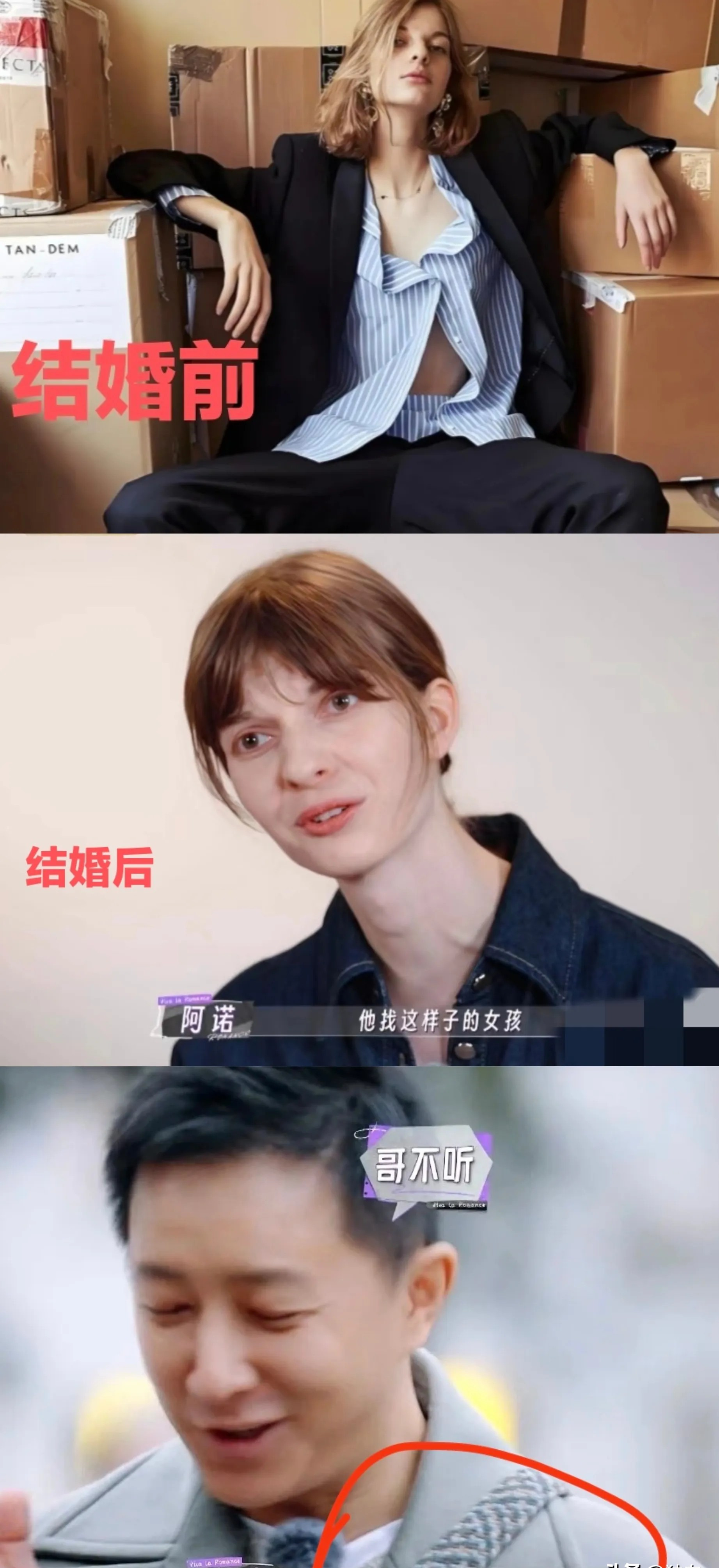 阿诺董力婚姻引热议











我的天哪！阿诺竟然为了董力放弃了整个世
